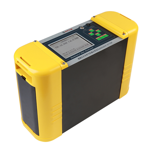 便攜紅外天然氣熱值分析儀 Gasboard-3110P